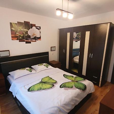 Apartament Cosbuc Baia Mare Dış mekan fotoğraf