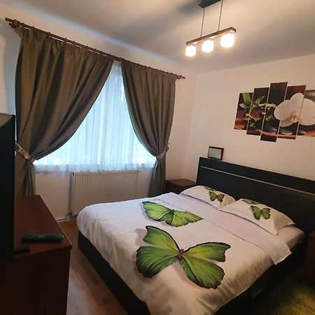 Apartament Cosbuc Baia Mare Dış mekan fotoğraf