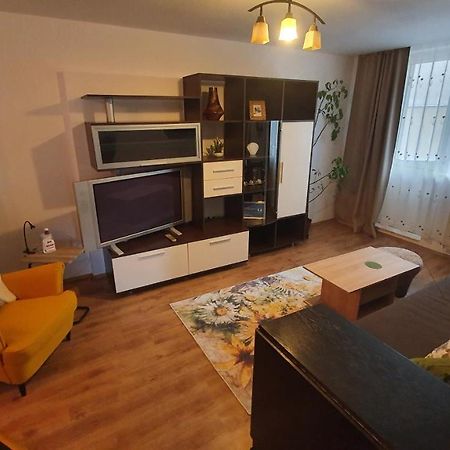 Apartament Cosbuc Baia Mare Dış mekan fotoğraf