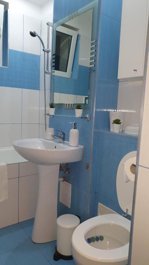 Apartament Cosbuc Baia Mare Dış mekan fotoğraf