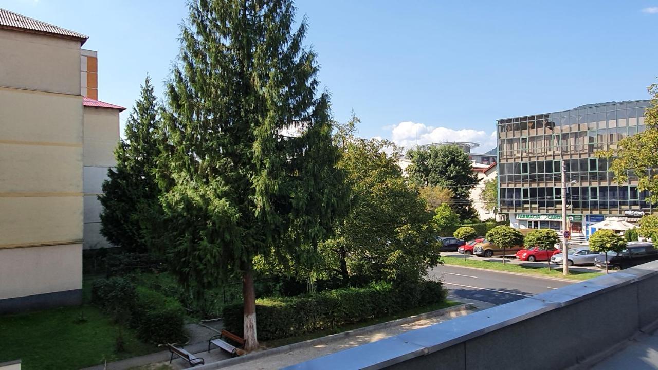 Apartament Cosbuc Baia Mare Dış mekan fotoğraf