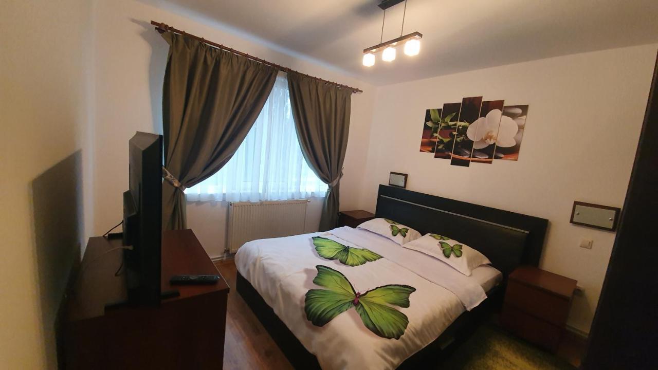 Apartament Cosbuc Baia Mare Dış mekan fotoğraf