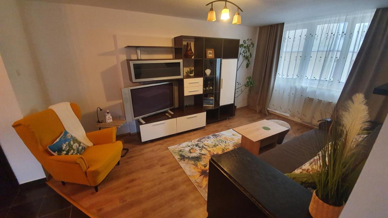 Apartament Cosbuc Baia Mare Dış mekan fotoğraf