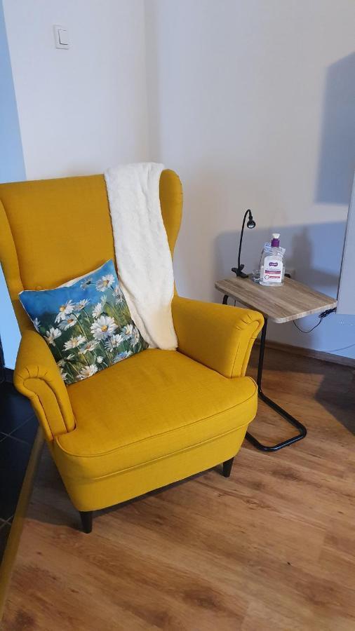 Apartament Cosbuc Baia Mare Dış mekan fotoğraf